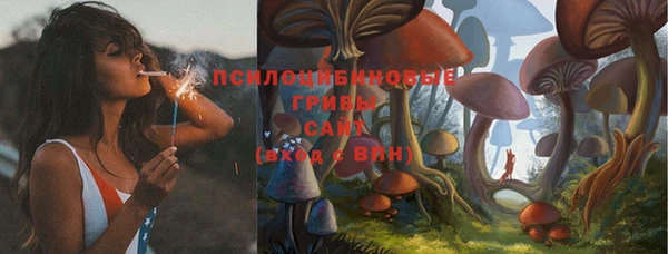 MESCALINE Кодинск