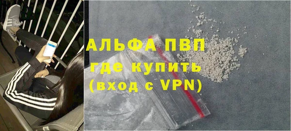 шишки Коряжма