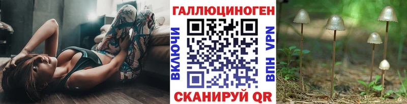 Купить где  Балашиха  Галлюциногенные грибы Cubensis 